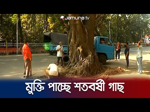 অবশেষে কংক্রিট থেকে মুক্তি পাচ্ছে শতবর্ষী গাছ | Green Fingers | Jamuna TV