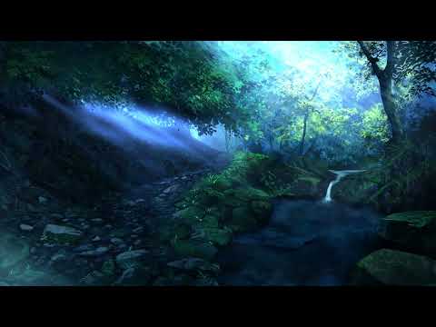 1 Hours to Help you Relieve Stress Immediately with Stream Forest &amp; Piano Music