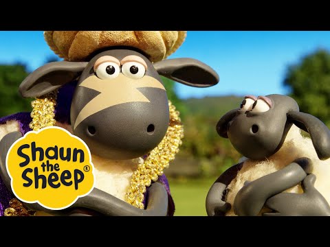 Happy Birthday Timmy! / The Genie | 2 x Episodes | Shaun the Sheep S4