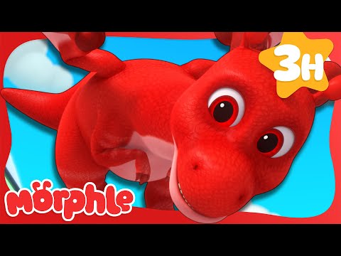 How to Train Your Morphle 🐲| Stories for Kids | Morphle Kids Cartoons