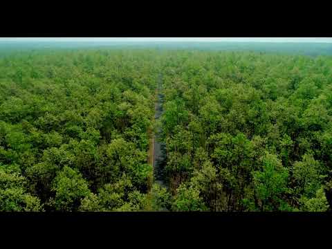 Pratap pur Jungle, Baripada, Mayurbhanj, Drone Shoot, Odisha bigest Jungle