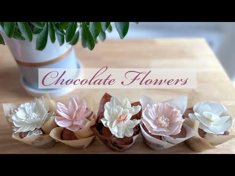 Chocolate Flowers Using Candy Melts | Valentine's Day Cupcakes