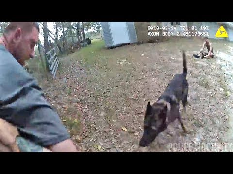 Bodycam Shows K9 And Deputy Split Up To Catch Car Theft Suspects