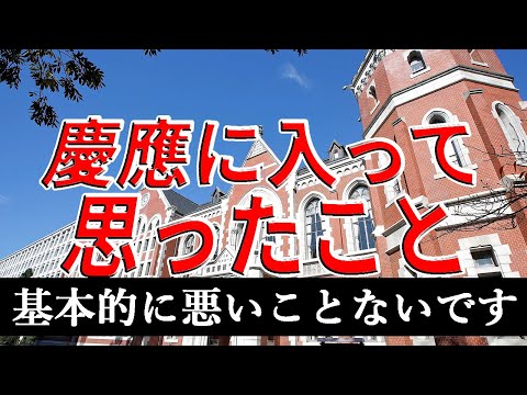 【慶應志望必見】慶應に入って良かったこと悪かったこと語ってみた