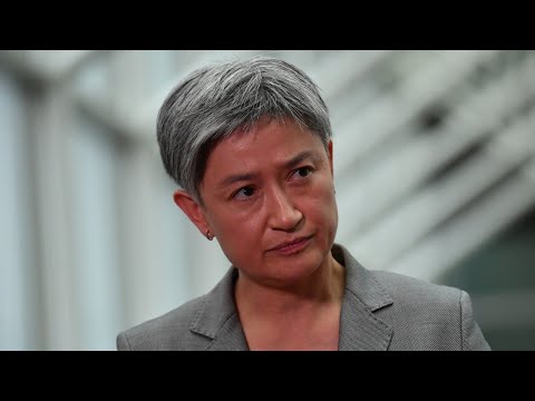 &lsquo;Not historically literate&rsquo;: Penny Wong slammed for calling for Palestinian state