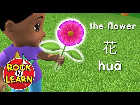 Learn Chinese for Kids - Food, Activities &amp; Animals