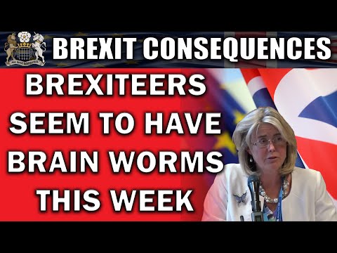 Dumb Things Brexiteers Did This Week