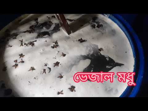 ভেজাল মধু যেভাবে তৈরি করা হয়_মধু_কিনতে_সতর্ক_হোন।