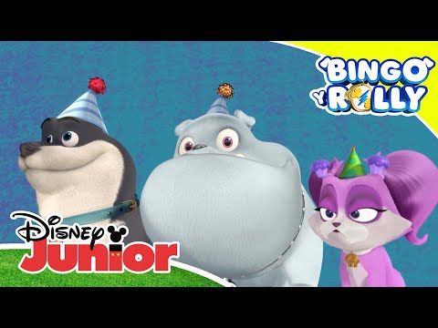 Bingo y Rolly: Compilado musical | Disney Junior Oficial