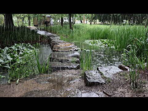 It is a comfortable sound of rain that will help you sleep deeply - Insomnia Rain Sound ASMR