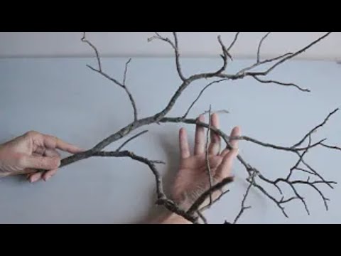 DIY Tree Branches Idea Project 😍 How to Make Cherry Flowers 😊 Crafts and Recycling 👍