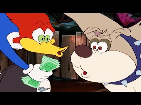 Woody Woodpecker Show | Junk Funk | 1 Hour Compilation | Cartoons For Kids | Kids Movies