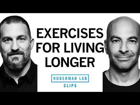 Best Exercises for Overall Health &amp; Longevity | Dr. Peter Attia &amp; Dr. Andrew Huberman