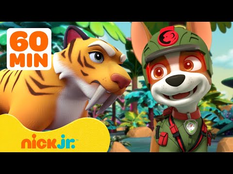 PAW Patrol's Jungle Pups Rescue Giant Animals! 🐯 w/ Marshall &amp; Tracker | 1 Hour | Nick Jr.