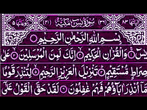 Surah Yaseen Surah Rahman || Qur'an Recitation || Qur'an Tilawat || Surah Yasin full Surah Al-Mulk