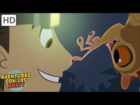 Mini mam&amp;iacute;feros | Monos, mapaches, murci&amp;eacute;lagos + m&amp;aacute;s [episodios completos] Aventuras con los Kratt