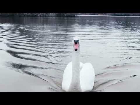 Belmont Lake State Park: Sony A7S III + Sony PZ 16-35 G Lens