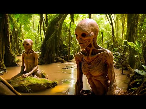 THEY LIVE HERE! Unusual Finds in the AMAZON 