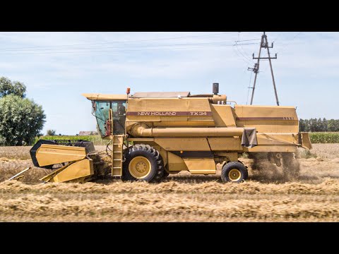 ŻNIWA 2022! Koszenie Pszenżyta  - New Holland TX34