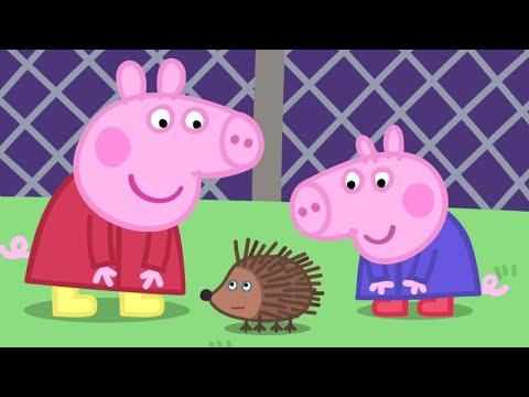 Kids Videos | Peppa's Tea Party Peppa Pig Official | New Peppa Pig