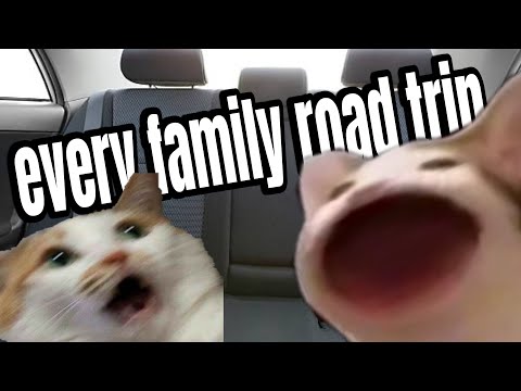 every family roadtrip