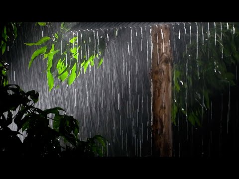 Forest hut for your sleep The sound of rain ,thunder , lullaby ,insomniaㅣBlack screen after 1 hourㅣ