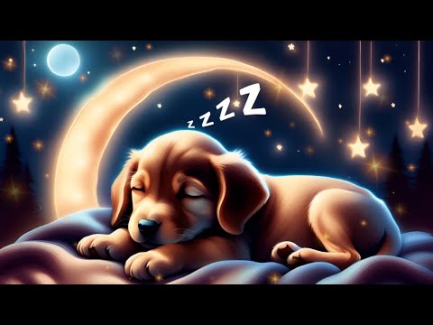 Soothing Classical Baby Music for Sleep 💤🌙 1 Hour Baby Lullaby Mix - Brahms, Mozart and More ♫♫