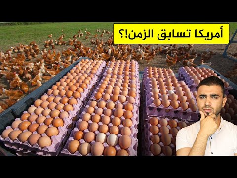 شاهد كيف يتم انتاج 100 مليار بيضة سنوياً في أمريكا🐣انتاج البيض من الدجاج بطريقة غريبة 🐔مزارع عملاقة