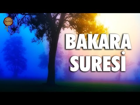 Bakara Suresi | Evdeki Ge&ccedil;imsizliğe, Huzursuzluğa, Sıkıntılarınıza Şifa - Eyad Mohra