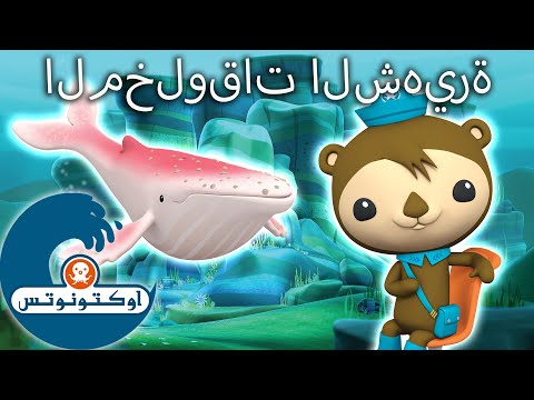 أوكتونوتس | المخلوقات الشهيرة |  رسوم متحركة للأطفا