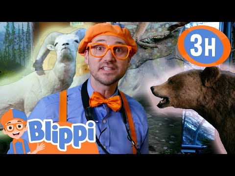 Animal Fun with Besties| Blippi and Meekah Best Friend Adventures | Educational Videos for Kids