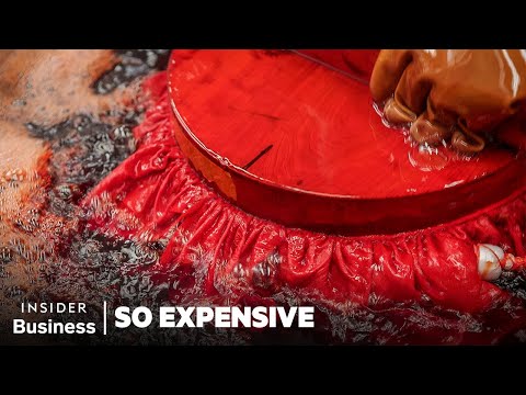 So Expensive Season 10 Marathon | So Expensive | Insider Business