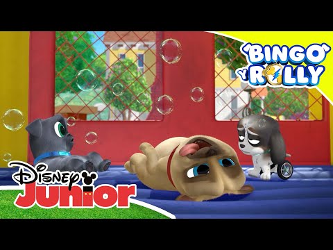 Bingo y Rolly: Burbujeadores de por vida | Disney Junior Oficial