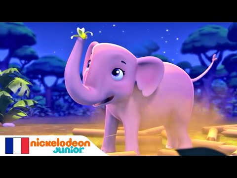 Paw Patrol : La Pat' Patrouille | Lila l'&eacute;l&eacute;phant | NICKELODEON JUNIOR