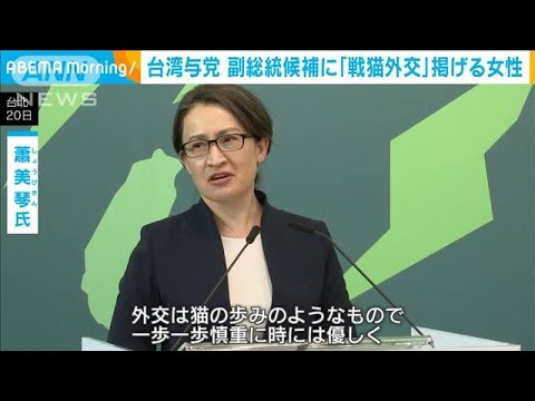 台湾与党　副総統候補に蕭美琴氏擁立へ　「戦猫外交」掲げ女性初の駐米代表務める(2023年11月20日)