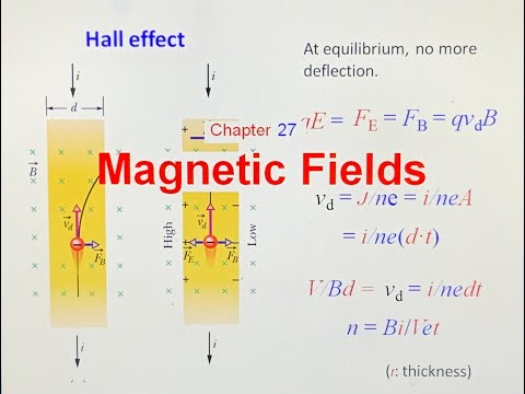 1270 Magnetic Fields