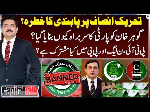 What do PTI, PML-N and PP have in common? - Barrister Gohar Khan - Hamid Mir - Capital Talk