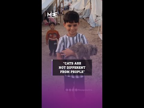 Child in Gaza talks about his cat being frightened by war