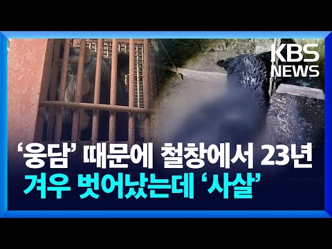 &lsquo;웅담&rsquo;위해 철창 속 23년&hellip;겨우 철장 벗어나니 &lsquo;사살&rsquo; / KBS 2023.12.18.