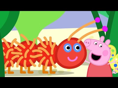 Peppa Learns About Nature! 🐷🐛 | @Peppa Pig - Official Channel