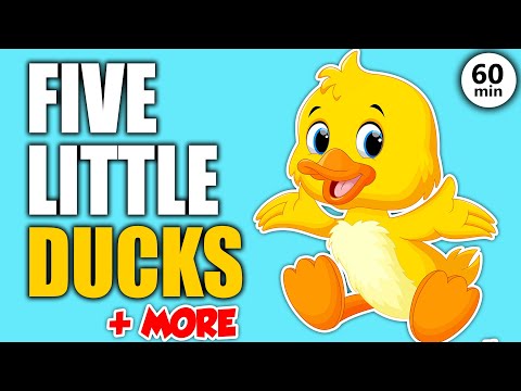 5 Little Ducks and More Learning Songs for Toddlers in English - Best Songs for Kids