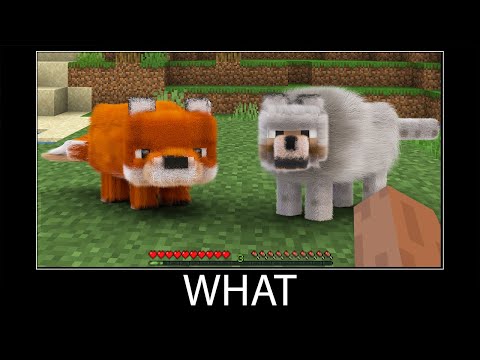 Minecraft wait what meme part 149 realistic minecraft fox and wolf