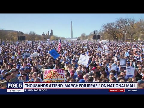 'March for Israel' largest rally of Jewish people in modern history: organizers