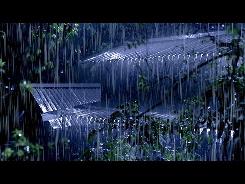 Fall into Sleep in Under 3 Minutes with Heavy Rain &amp; Thunder on a Metal Roof of Farmhouse at Night