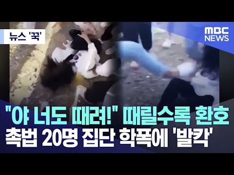 [뉴스 '꾹']  &quot;야 너도 때려!&quot; 때릴수록 환호..촉법 20명 집단 학폭에 '발칵' (2023.10.31/MBC뉴스)