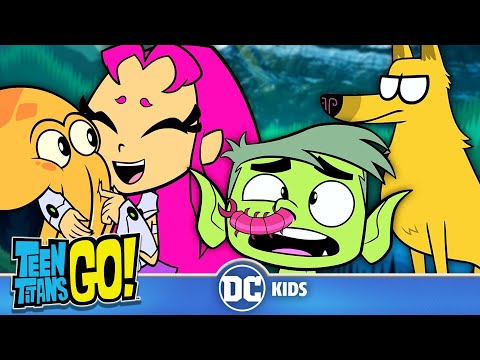 Animal Instincts! 🐶 | Teen Titans Go! | 