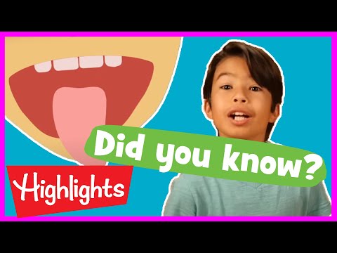 Educational Videos for Kids | 2020 | Fun Learning Videos for Kids | Did You Know? | Highlights Kids