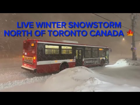 LIVE WINTER SNOWSTORM NORTH OF TORONTO