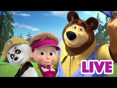 ماشا والدب 👱&zwj;♀️ LIVE STREAM! 🐼👱&zwj;♀️ حافظ على هدوئك واقضِ أياما معا 🐧🐻 Masha and the Bear