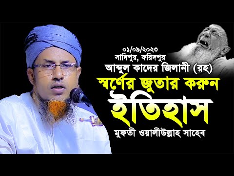 হযরত আব্দুল কাদের জিলানী(রহ) স্বর্ণের জুতার করুন ইতিহাস | মুফতি ওয়ালীউল্লাহ ২০২৩